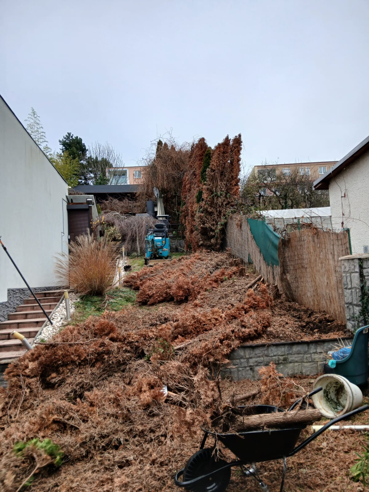 vyrub stromov 2026 5