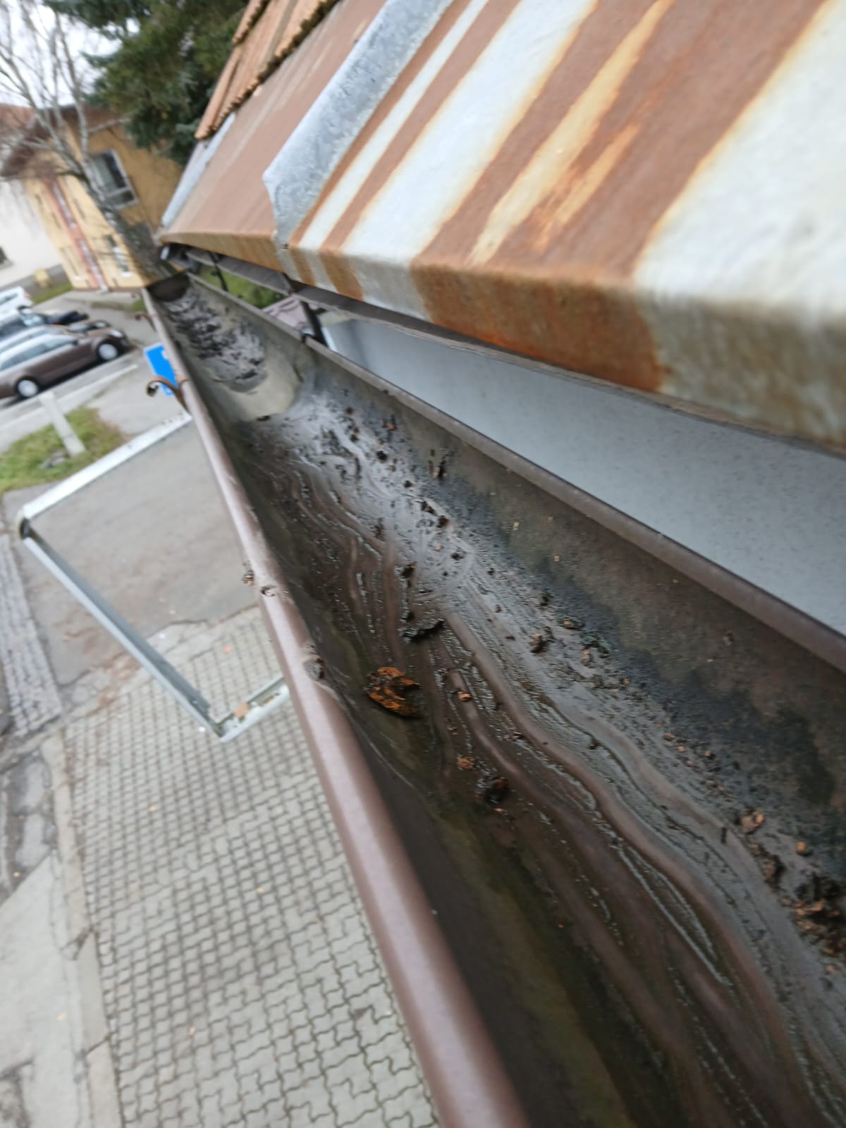 Tree cutting example 4